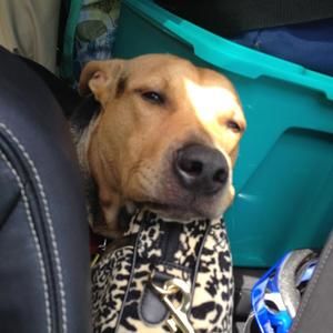 Meet your Posher, Jo-anne